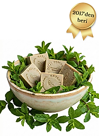 MENTOLLÜ NANE SABUNU 1 ADET (160-180 GR)