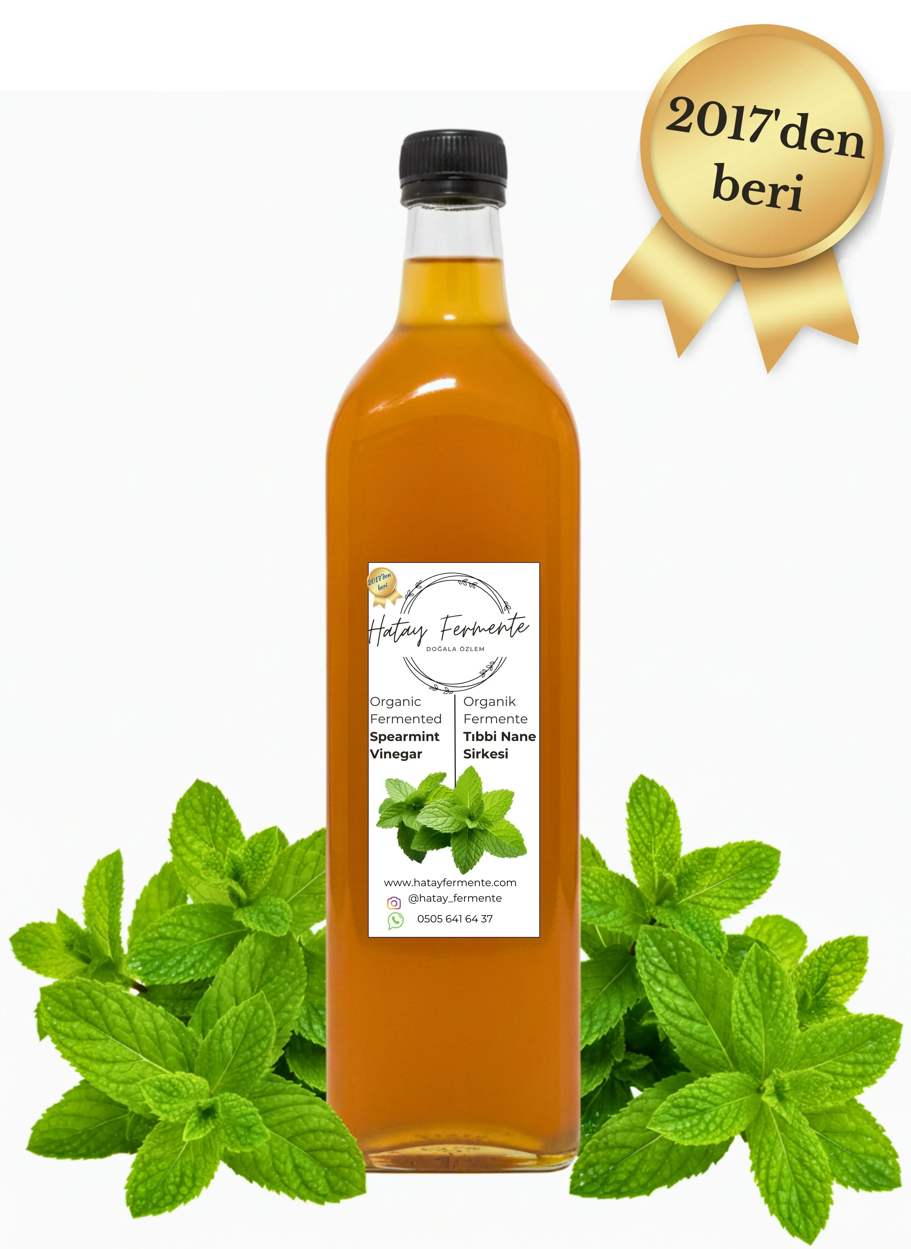 TIBBİ NANE SİRKESİ 1 LİTRE